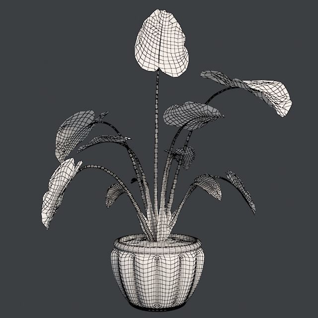 Elephant ear in Pot Plant Low-poly 3D model_5