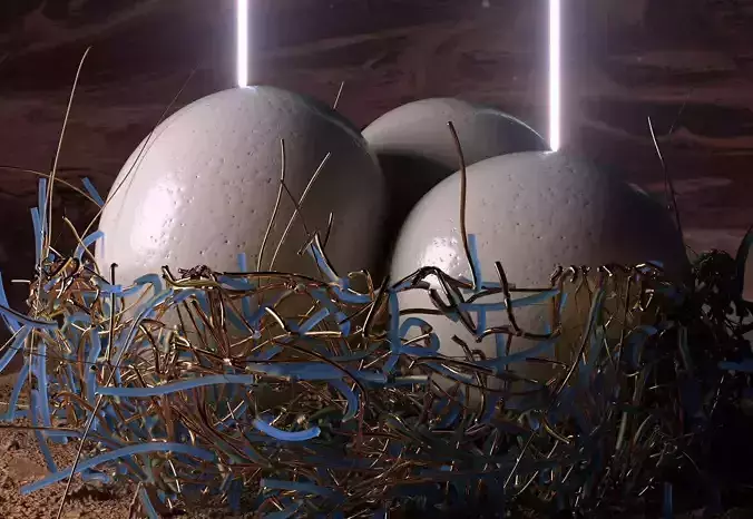 Ostrich Egg 3D model