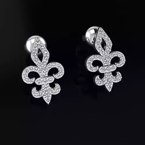 Stylish Earrings