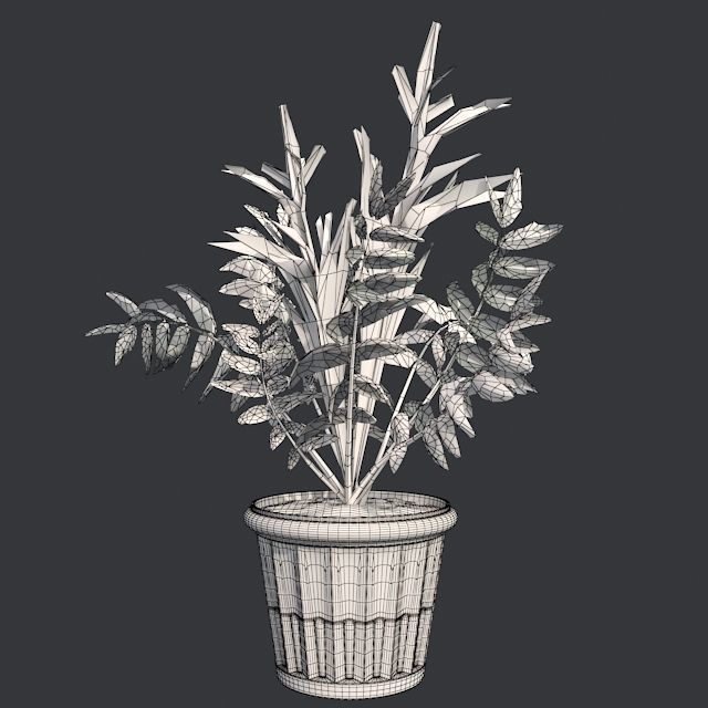False Spirea in Pot Low-poly 3D model_5