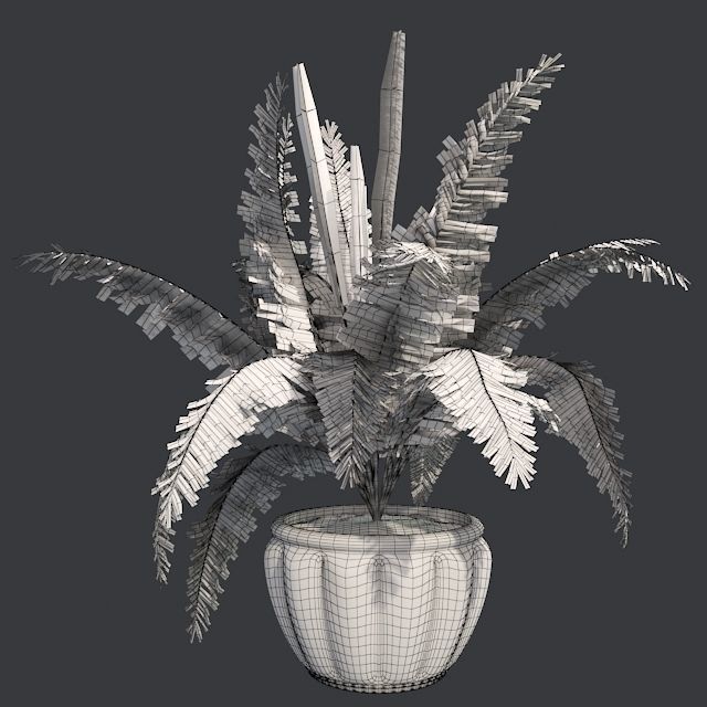 Cinnamon Fern in Pot Low-poly 3D model_5