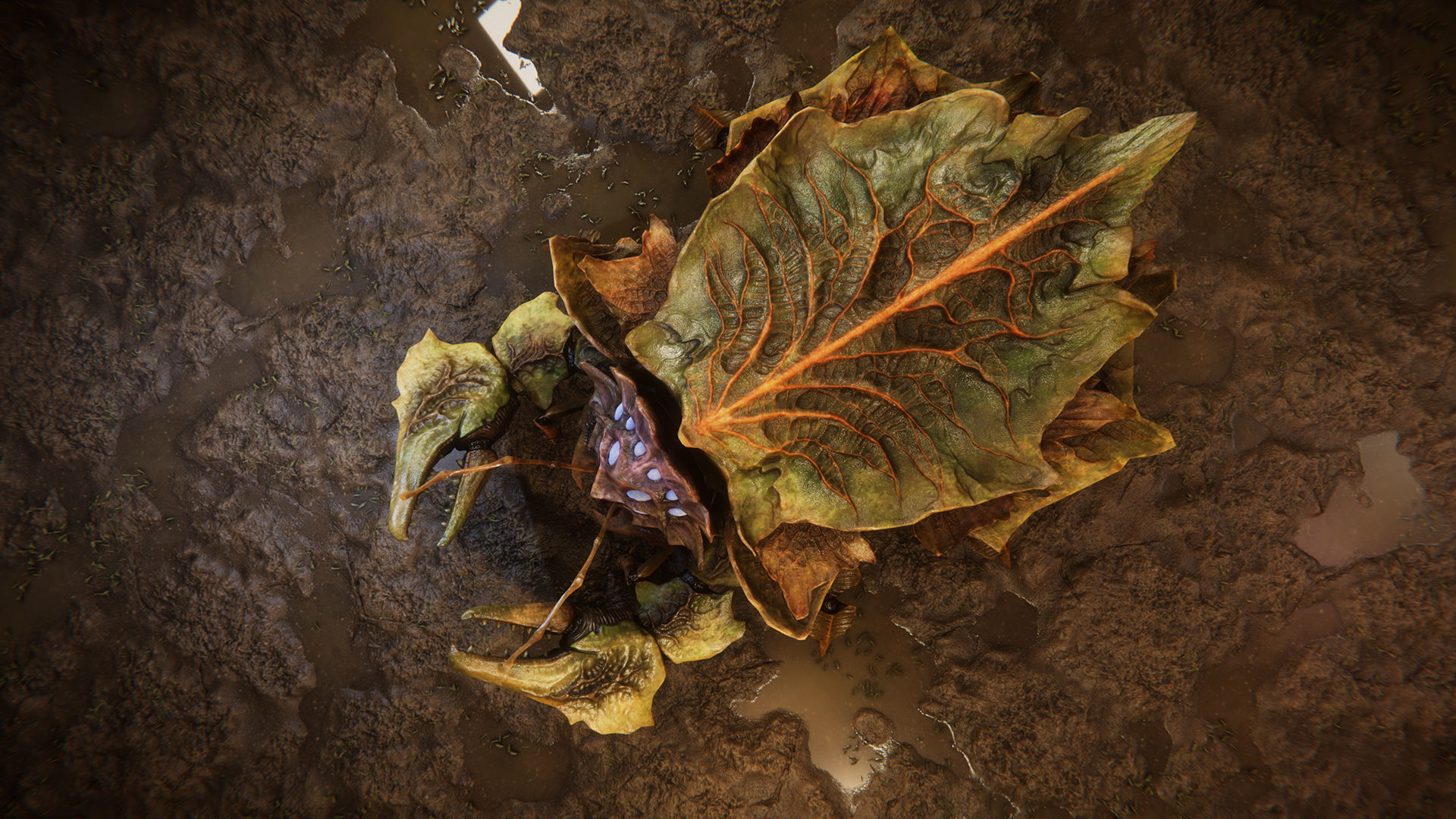 Crabs pack Low-poly 3D model_5