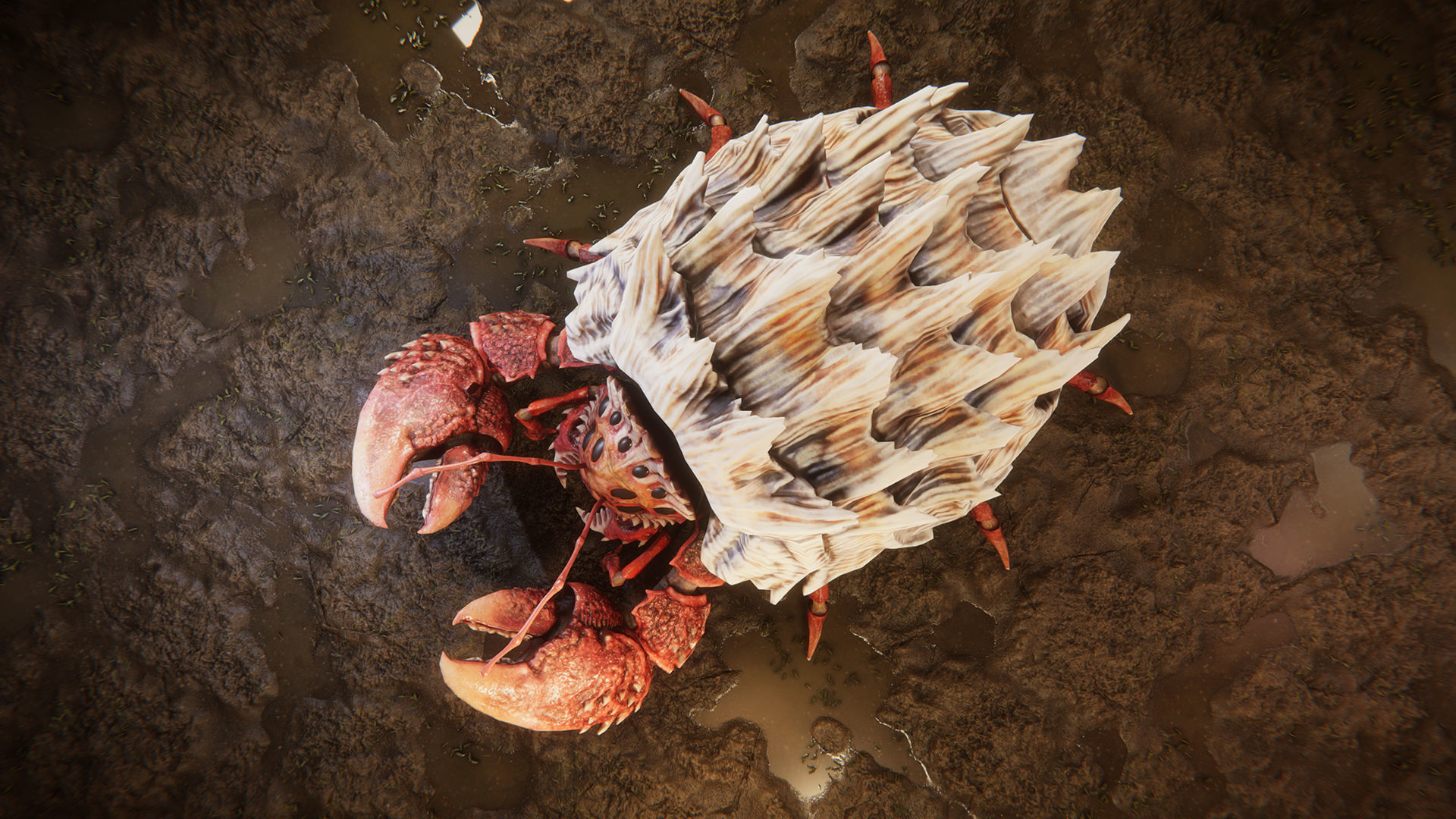 Crabs pack Low-poly 3D model_7