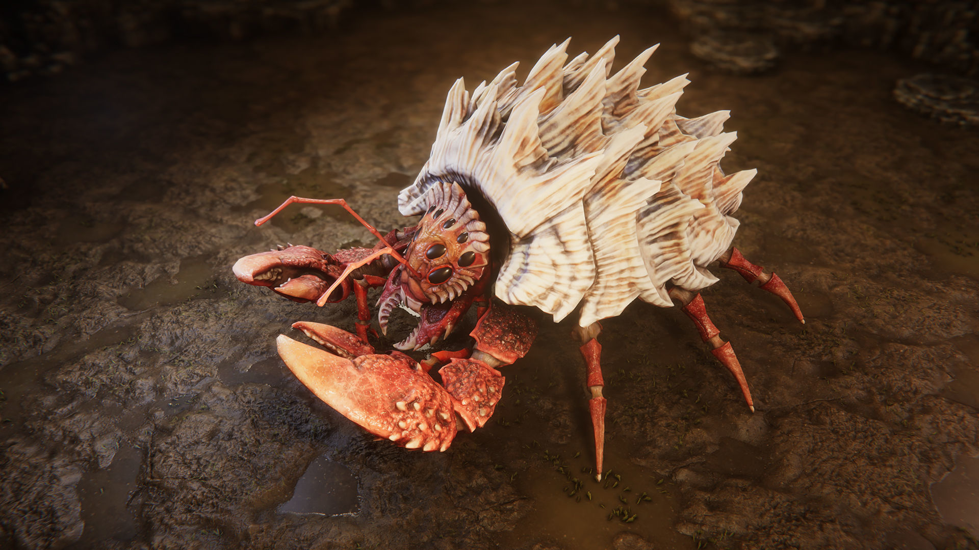 Crabs pack Low-poly 3D model_6