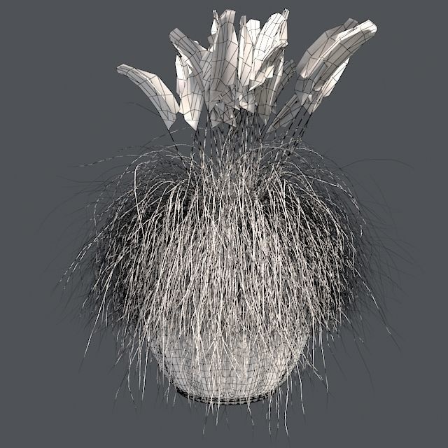 Pampas Grass in Pot Low-poly 3D model_5