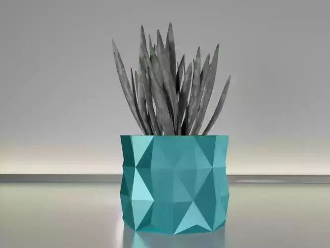 succulent plant pot 19
