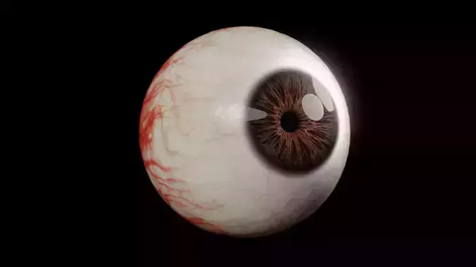 Realistic Human Eye Full Procedural