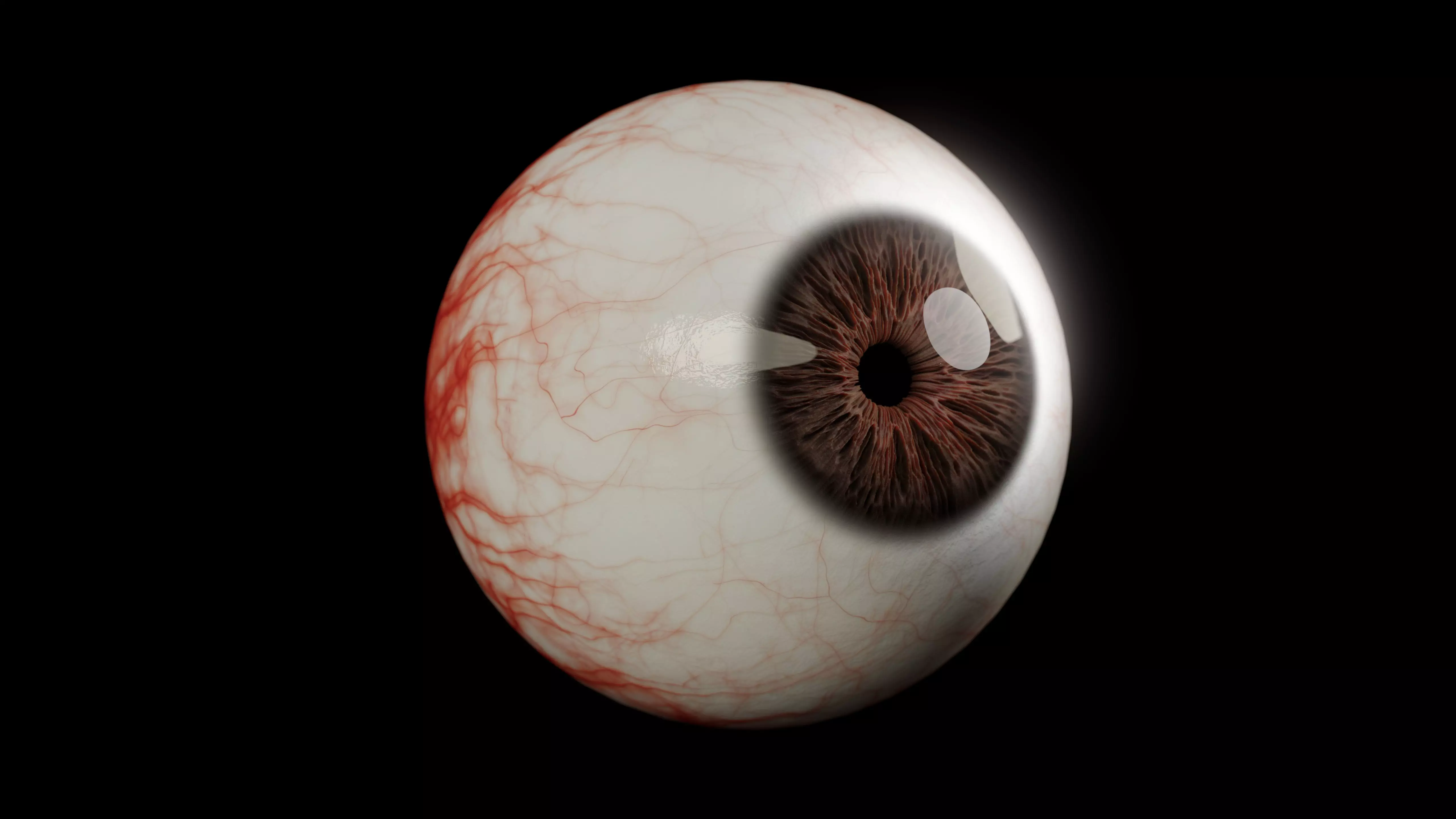Realistic Human Eye Full Procedural 3D model_0