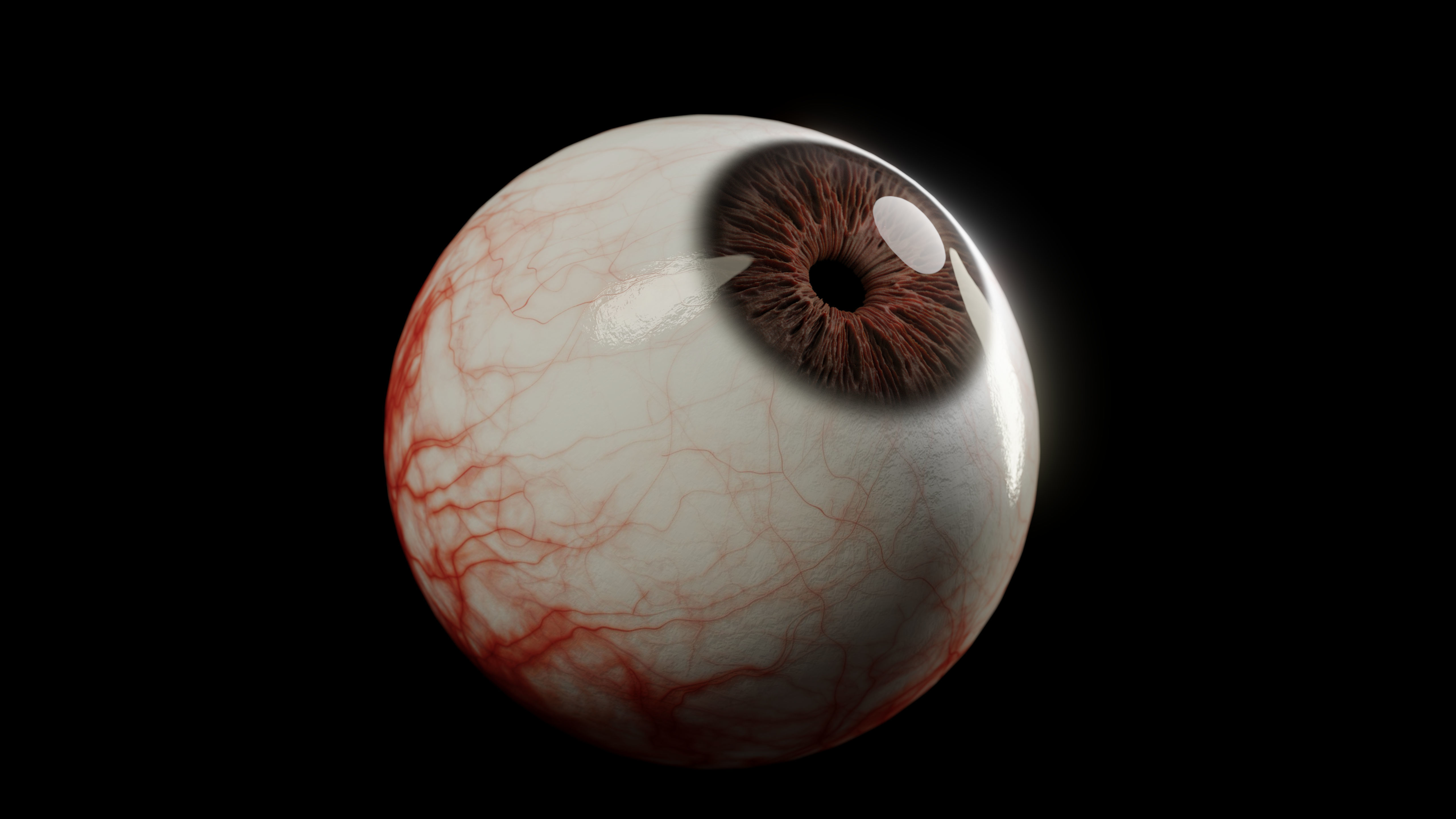 Realistic Human Eye Full Procedural 3D model_1