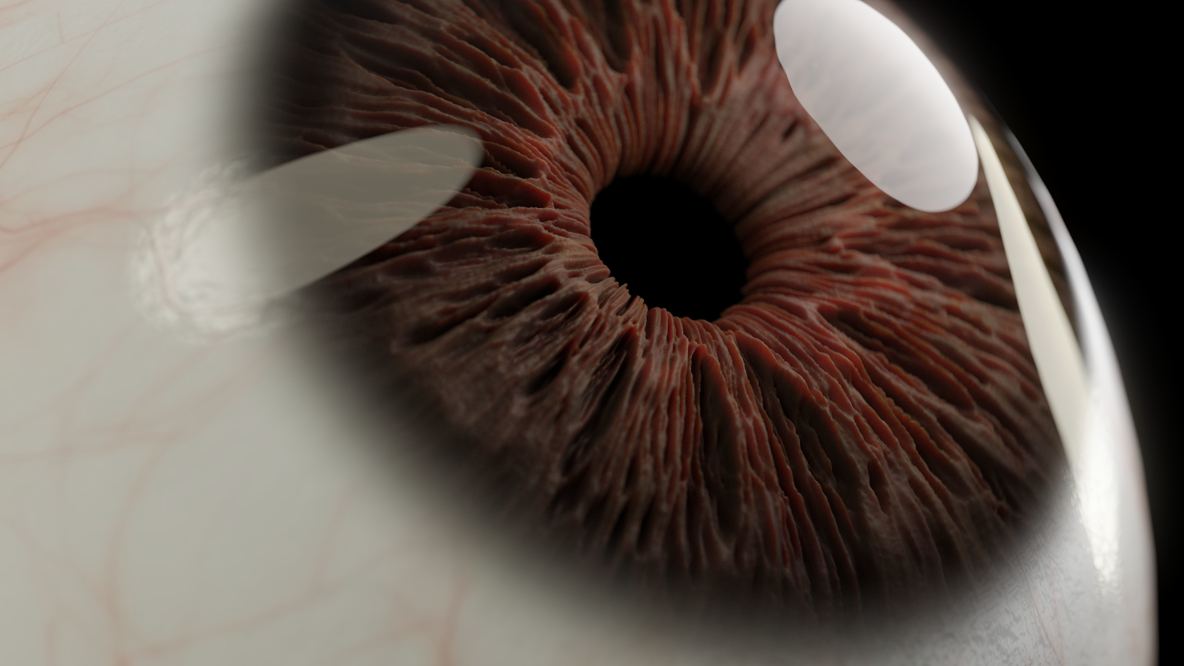Realistic Human Eye Full Procedural 3D model_2