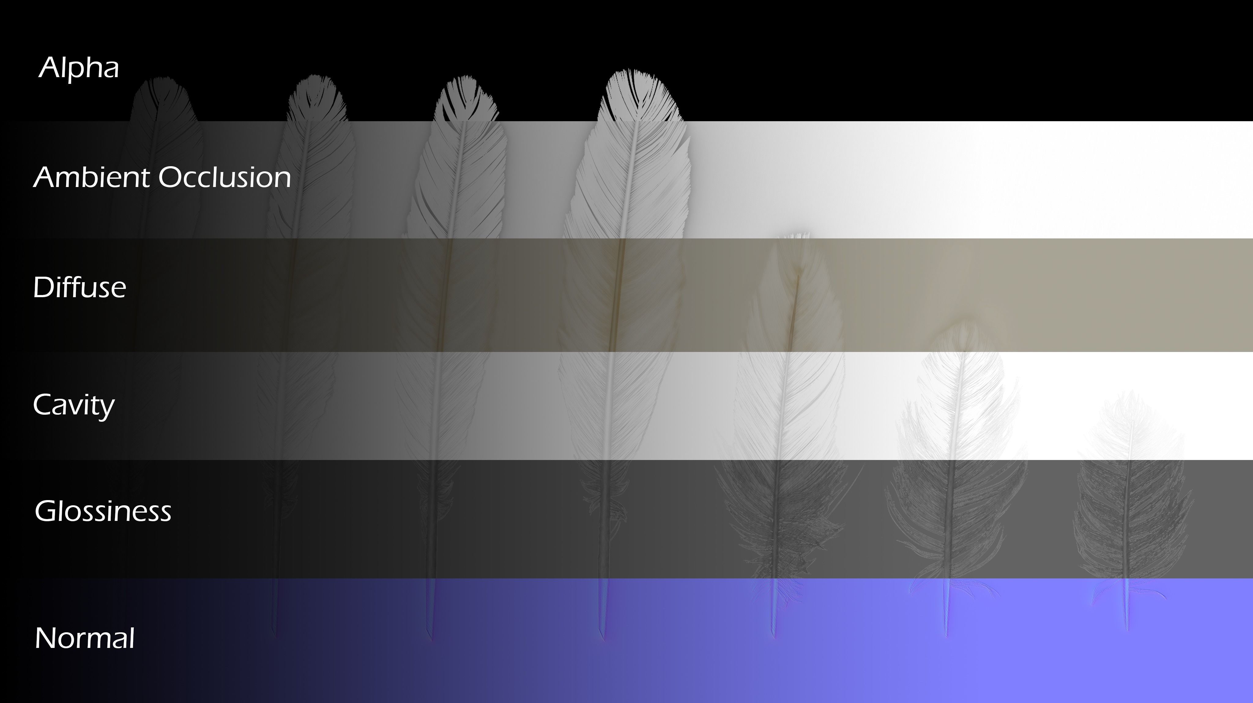 Birds feathers pack 3D model_2