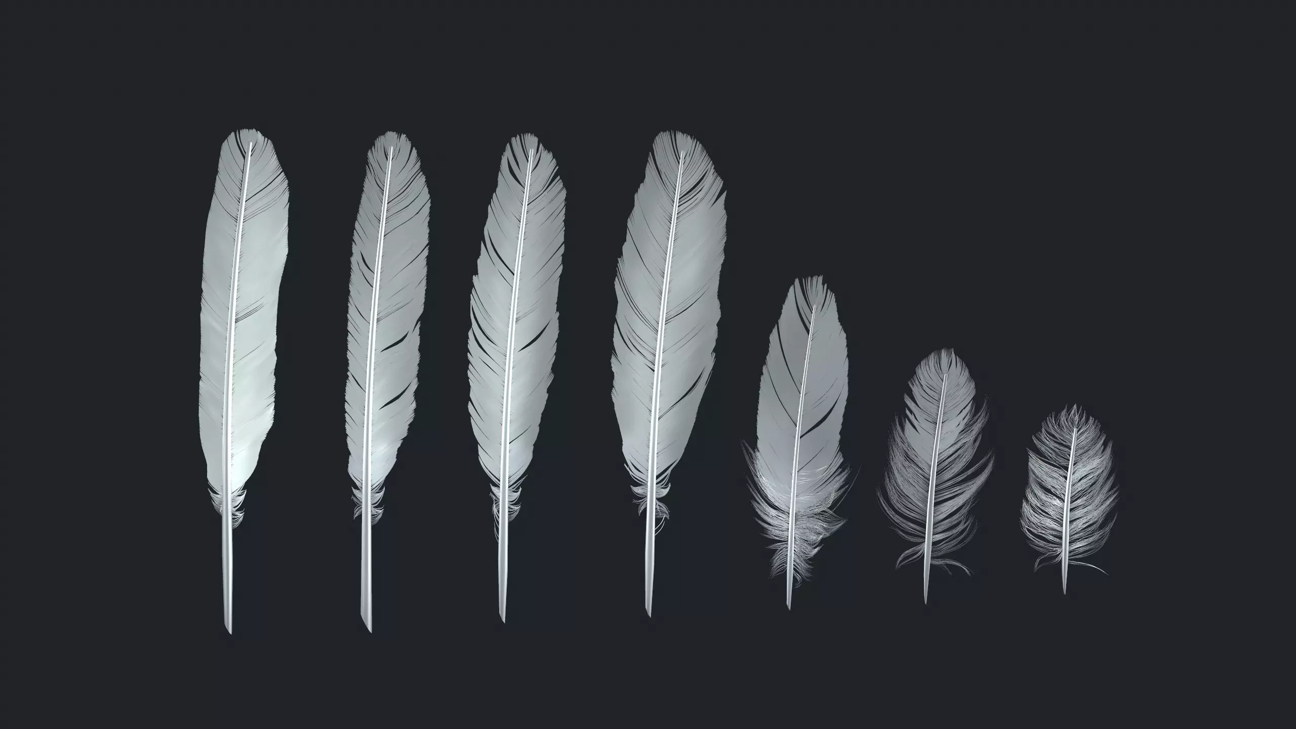 Birds feathers pack 3D model_0