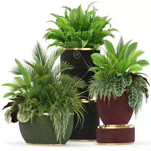 Plants collection 454 My design planters 