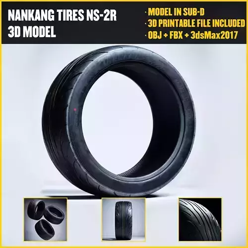 NANKANG TIRES - NS2R Low-poly 3D model