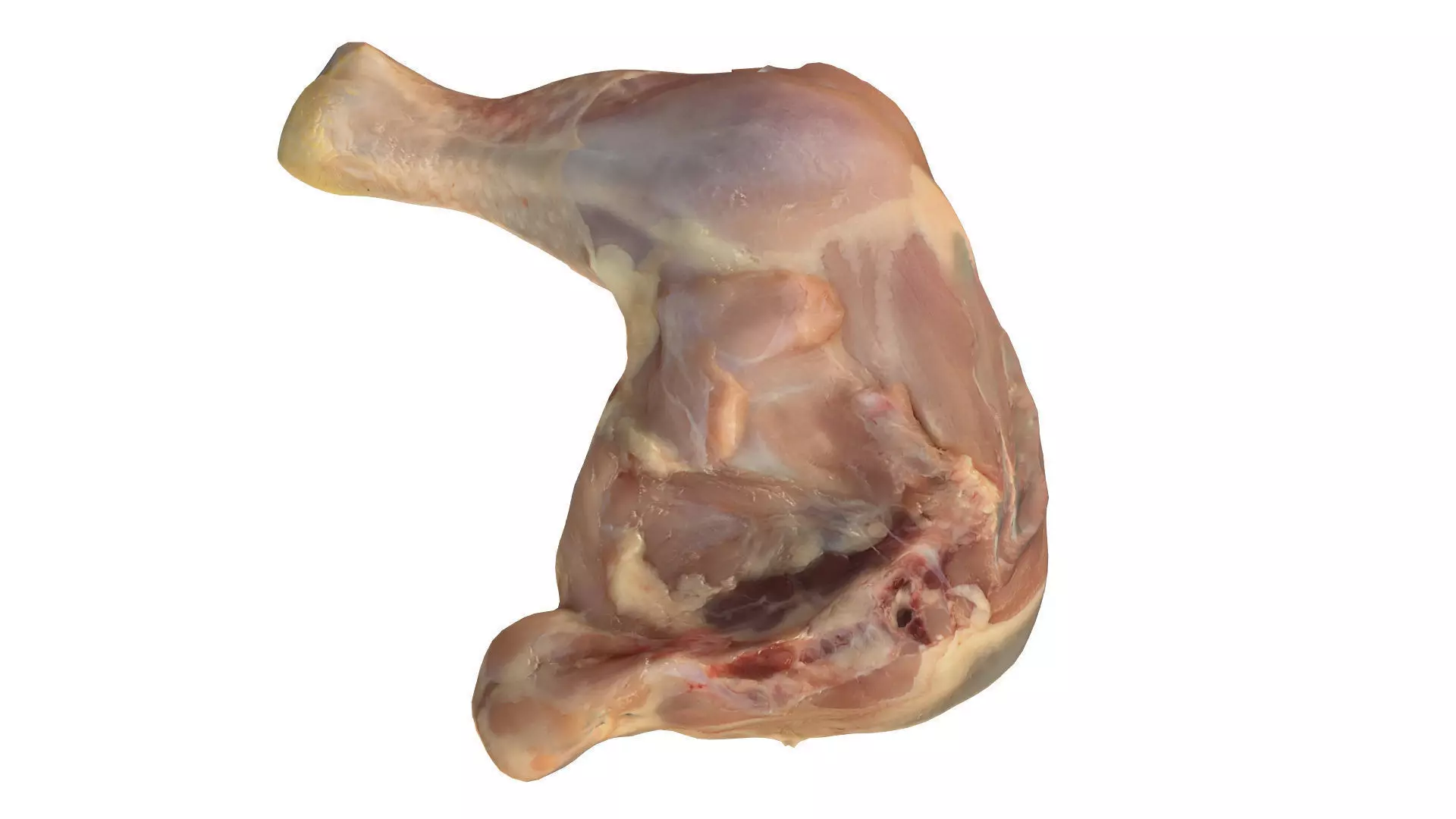 Chicken Leg Free 3D model_0