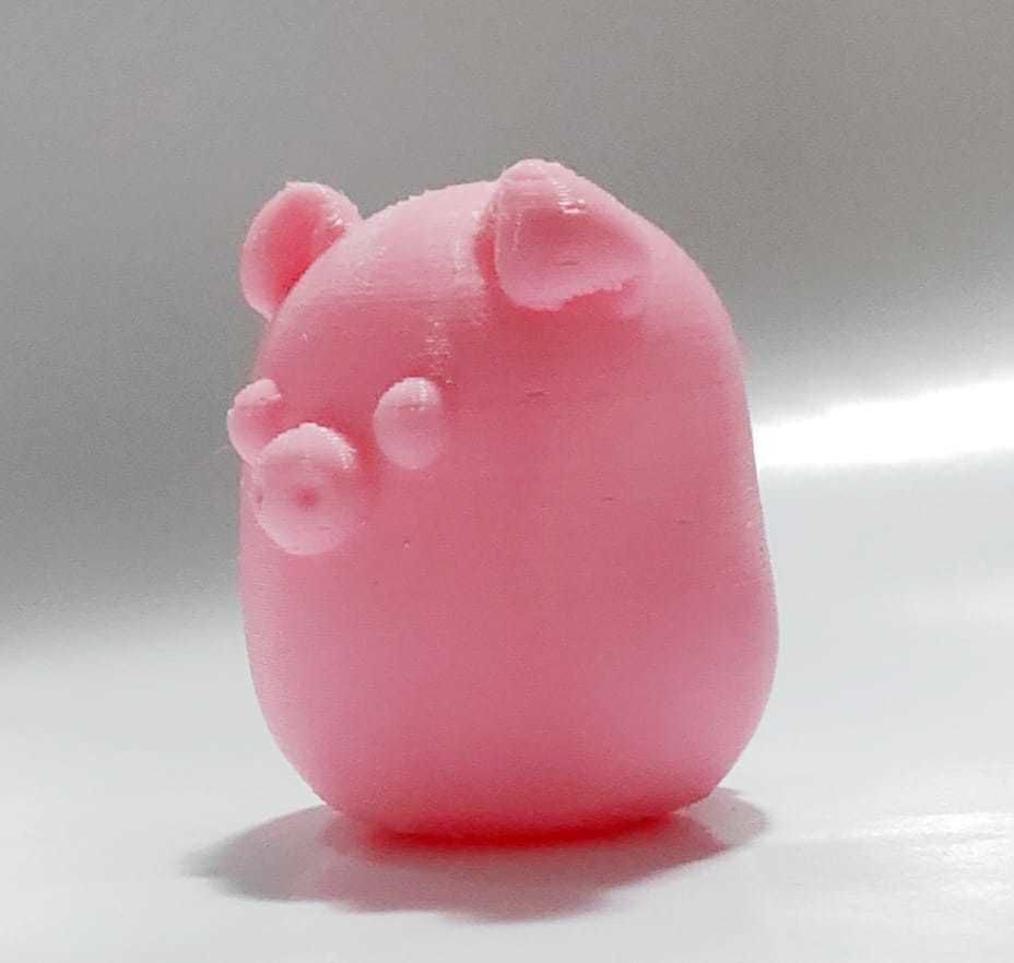 Zodiac Pig 3D print model_8
