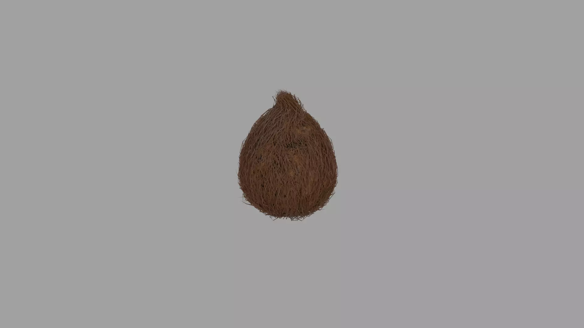 Coconut leaf Free 3D model