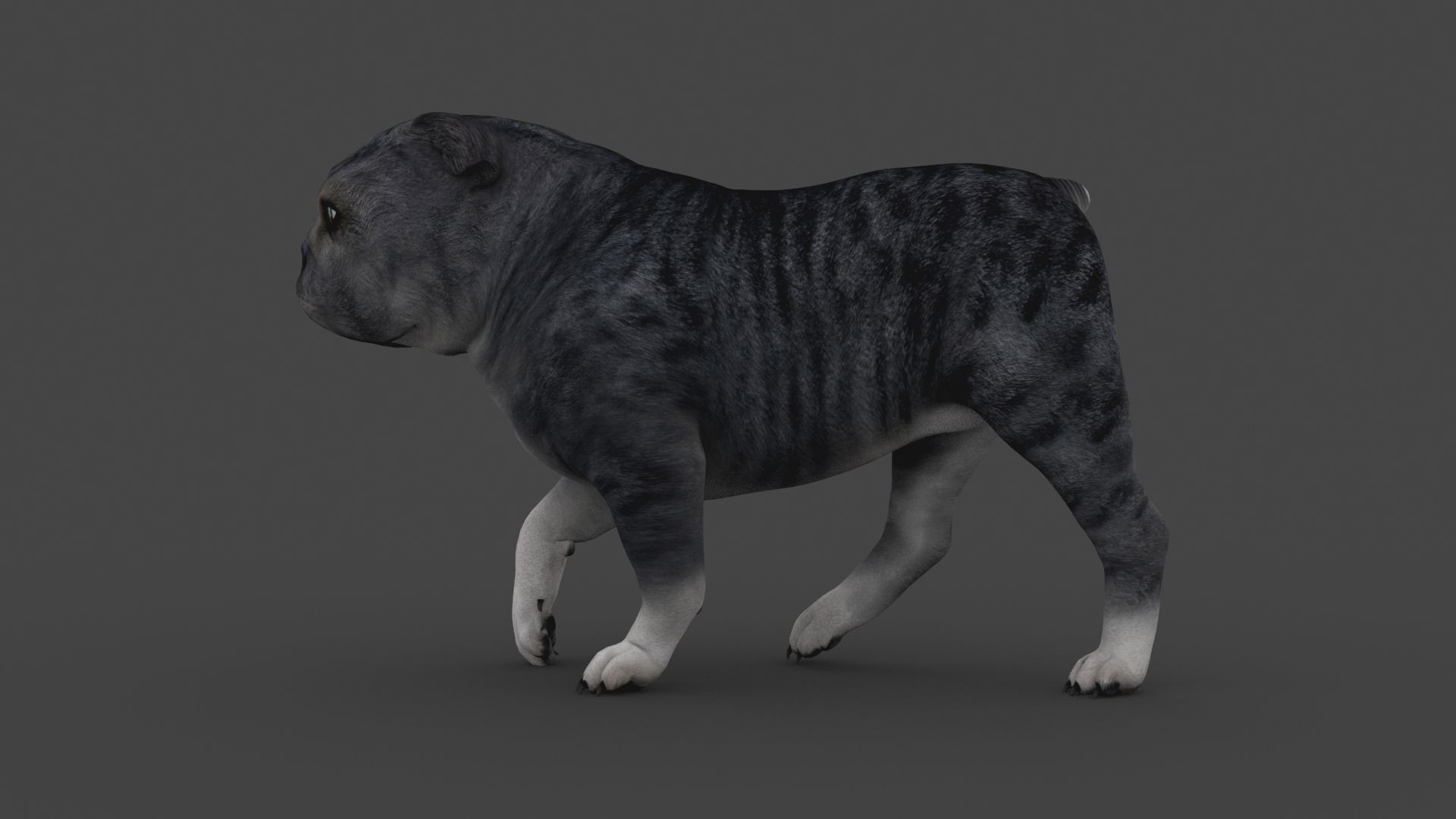 FEBU-003 Walking Animation 3D model_3