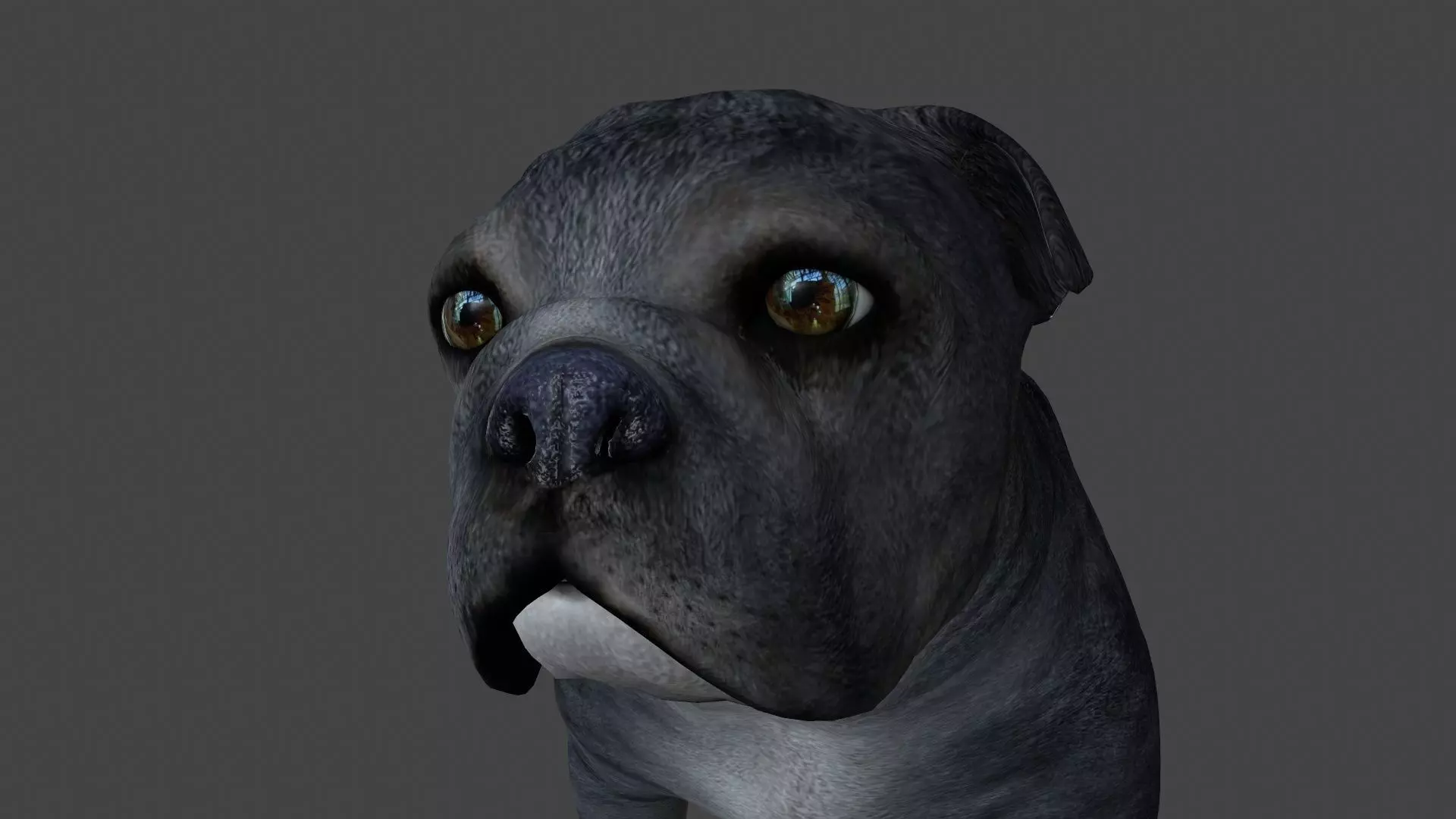 FEBU-003 Walking Animation 3D model_0