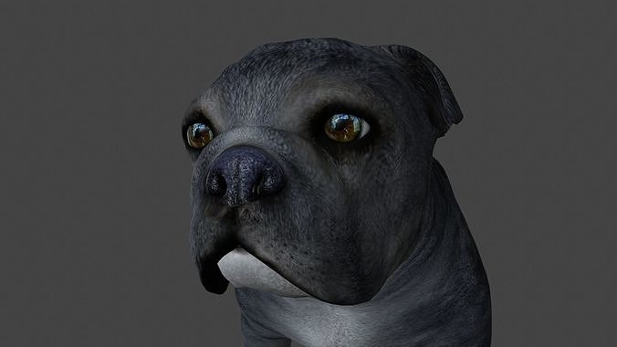 FEBU-003 Walking Animation 3D model