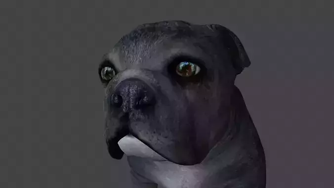 FEBU-003 Walking Animation