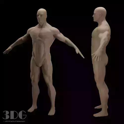 Anatomy Sculpt