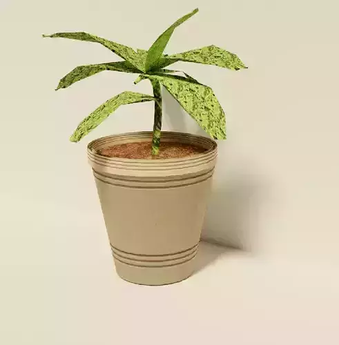plant and pot low poly