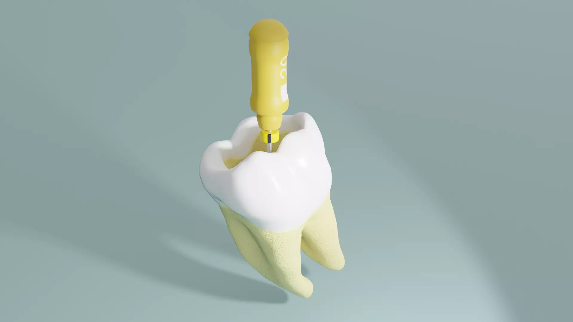 Molar and endodontic file 3D model