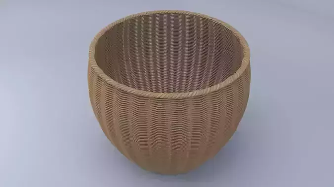 Rattan Woven Basket