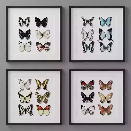 Photo Frames Set  127