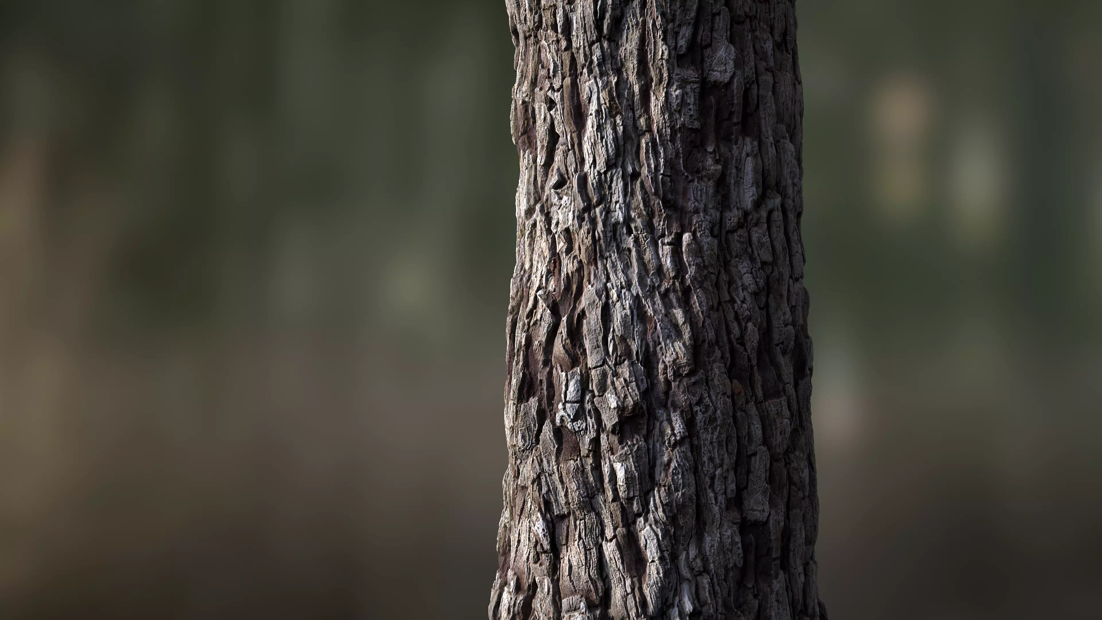 Tree Bark Seamless 01 Texture