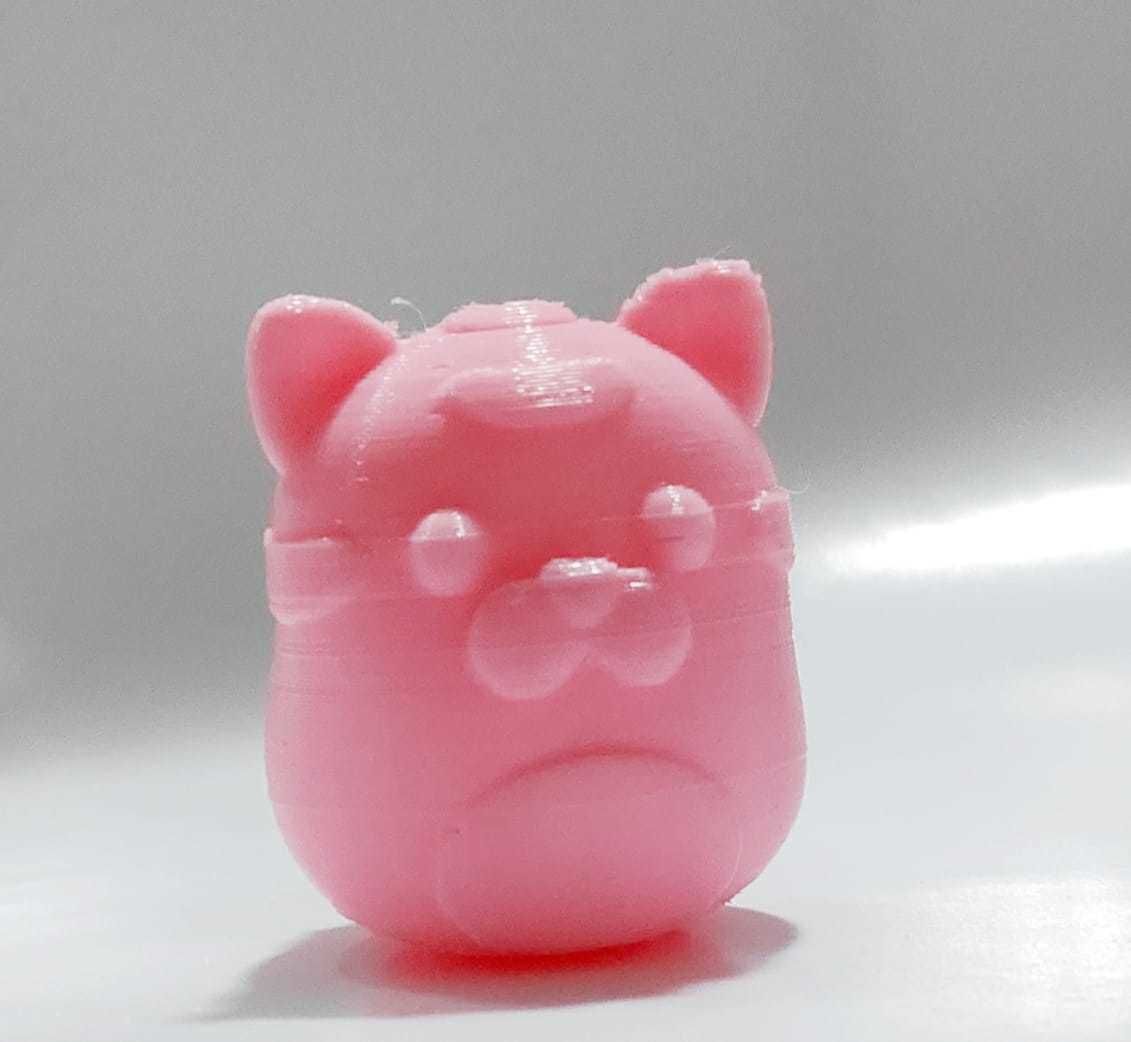 Zodiac Tiger 3D print model_3