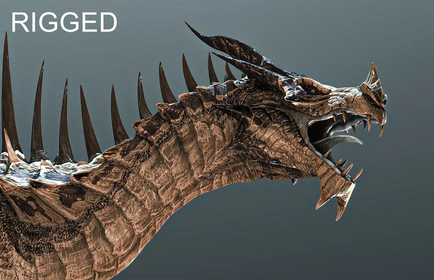 Dragon with spikes Low-poly 3D model_0