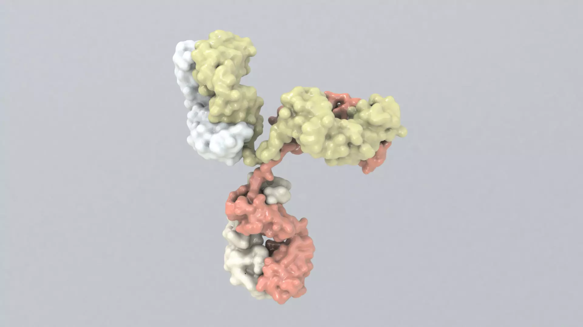 Antibody molecule 3D model_0