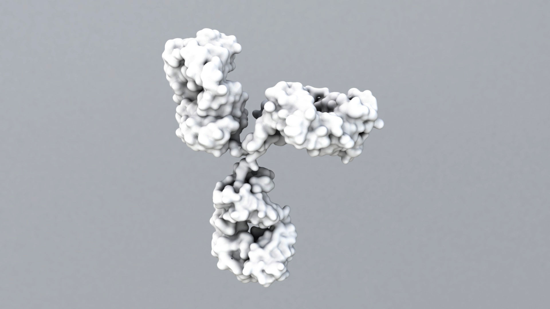 Antibody molecule 3D model_2