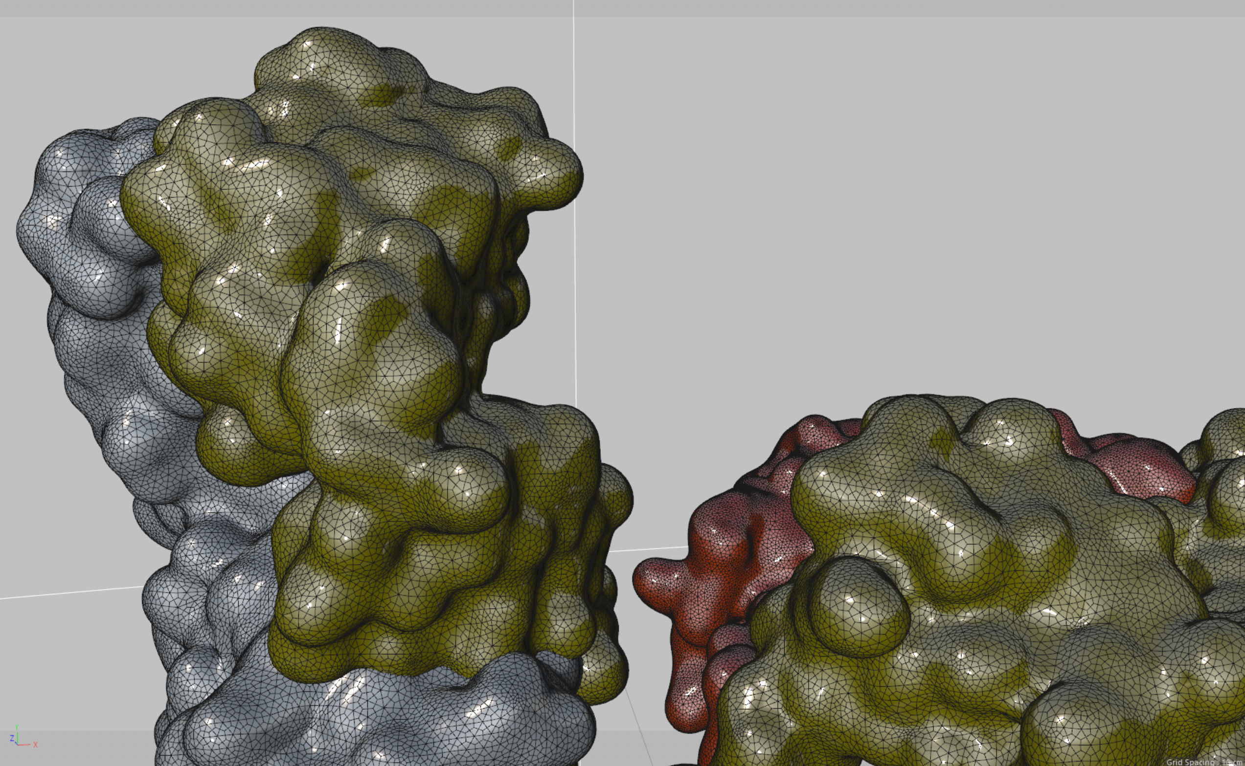 Antibody molecule 3D model_3