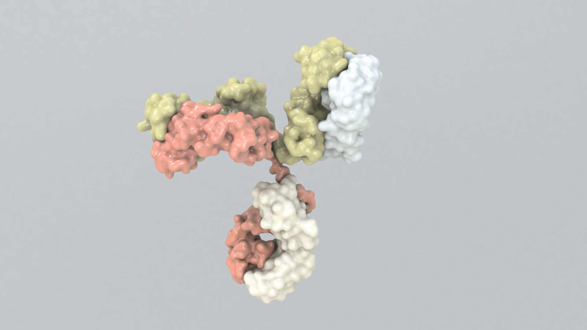 Antibody molecule 3D model_1