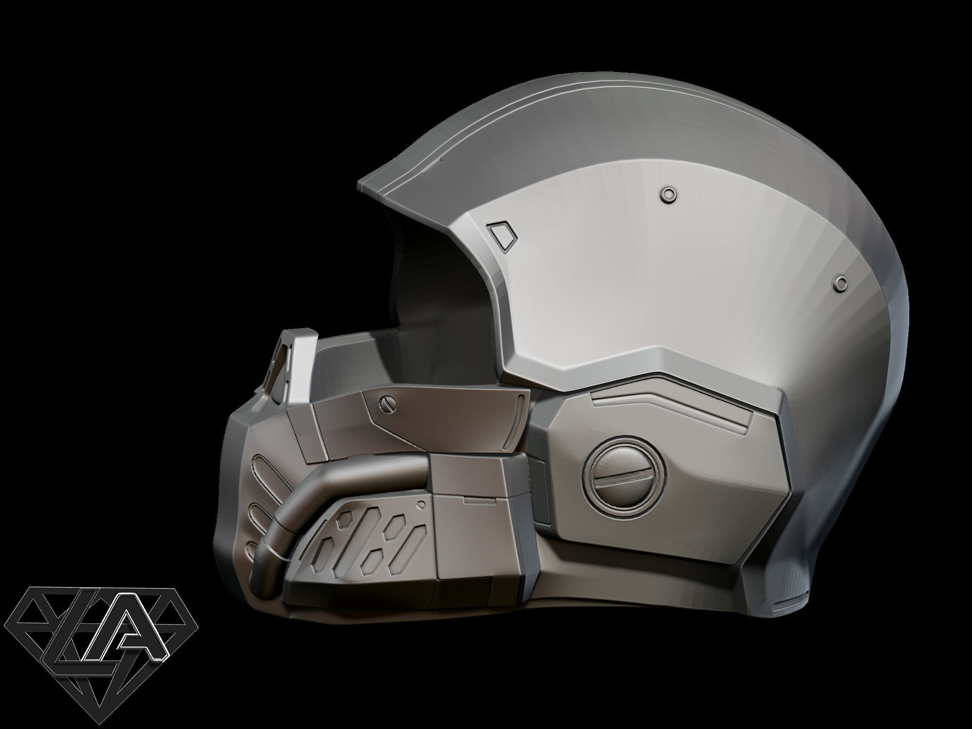 Destiny Argus custom helmet 3d model 3D print model_3