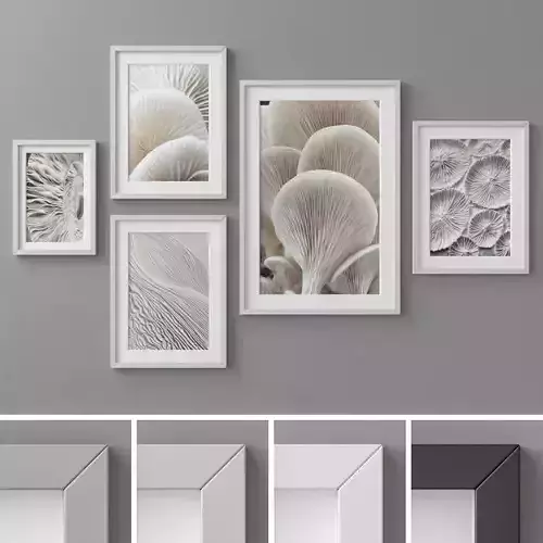 Photo Frames Set  165 3D model