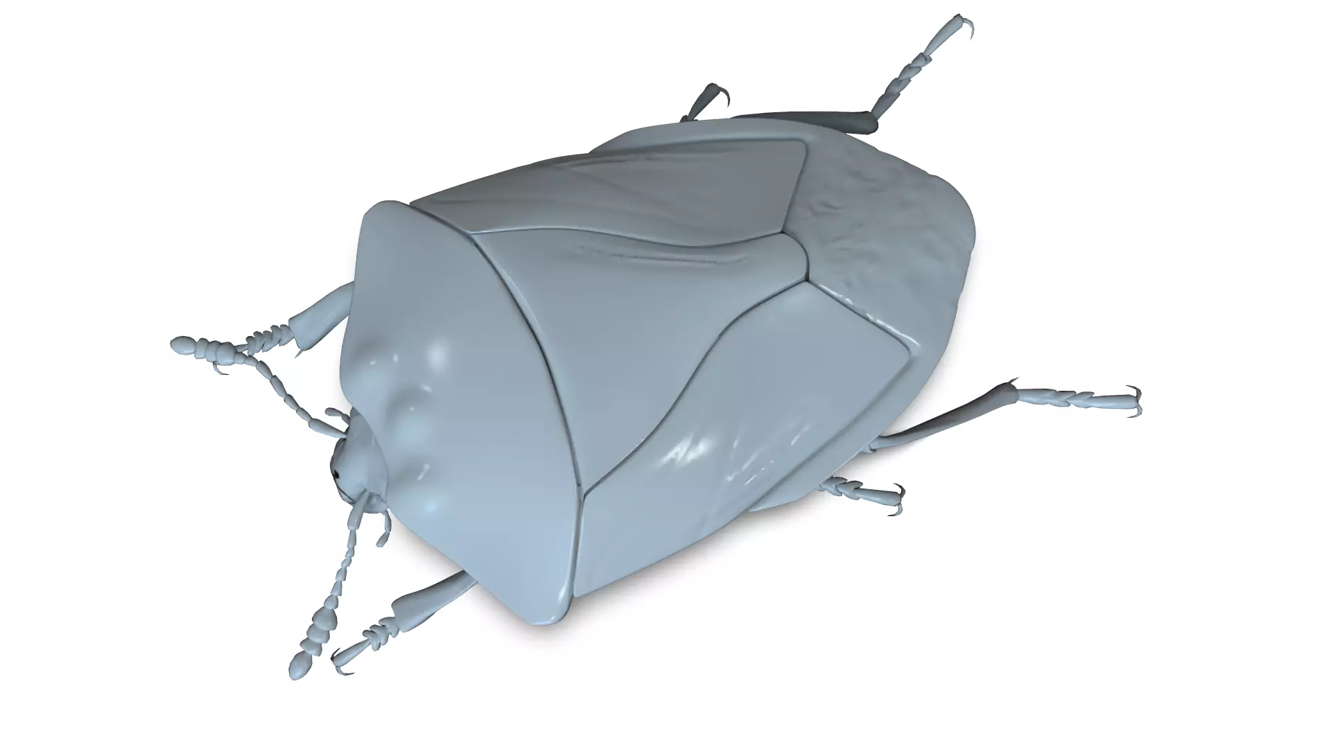 Beetle model for 3D print 3D print model