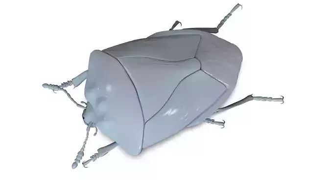 Beetle model for 3D print 