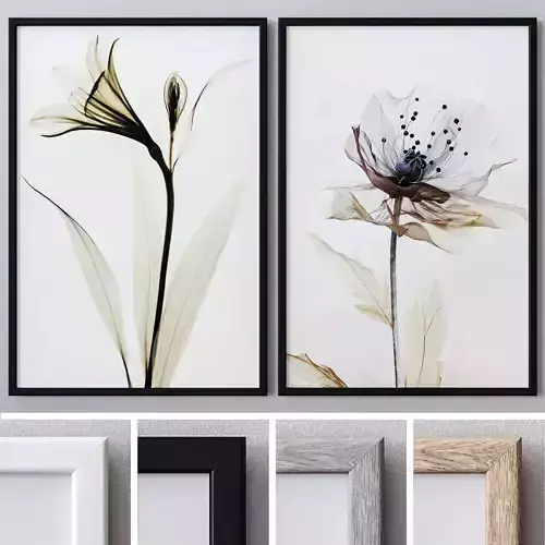 Photo Frames Set  187