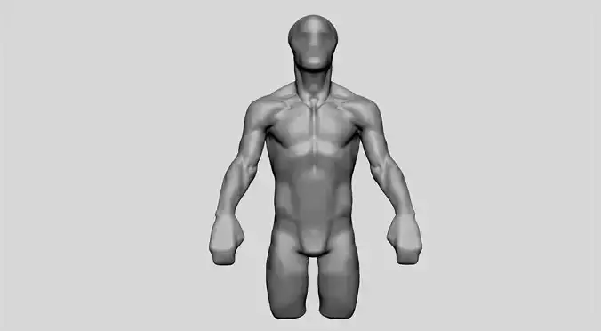 Base Male Torso