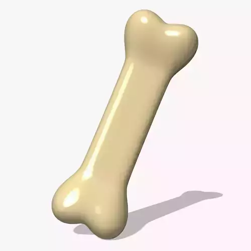 Bone Toy