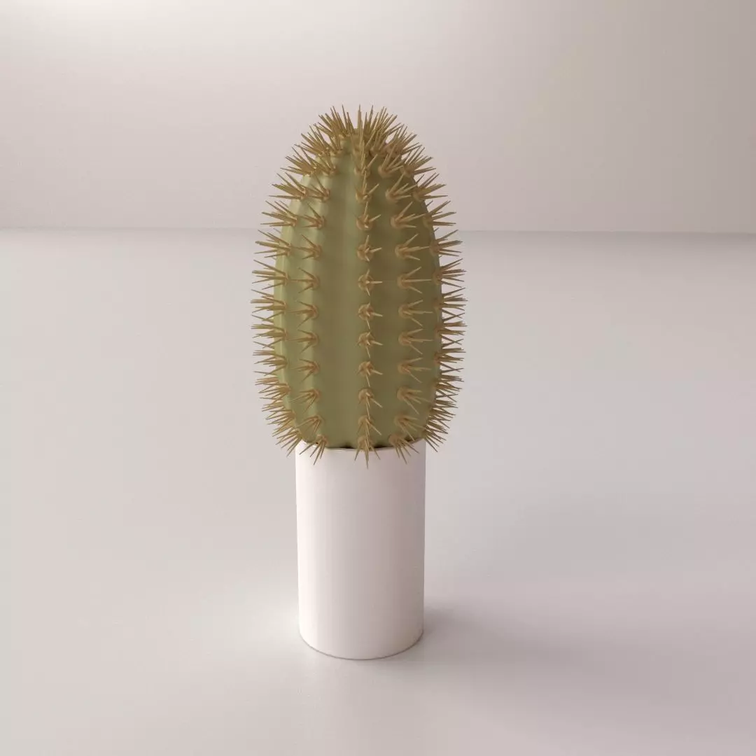 Cactus with spikes in pot 3D model