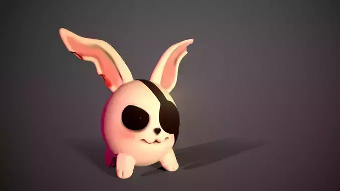 Pirate bunny with eyes and ears