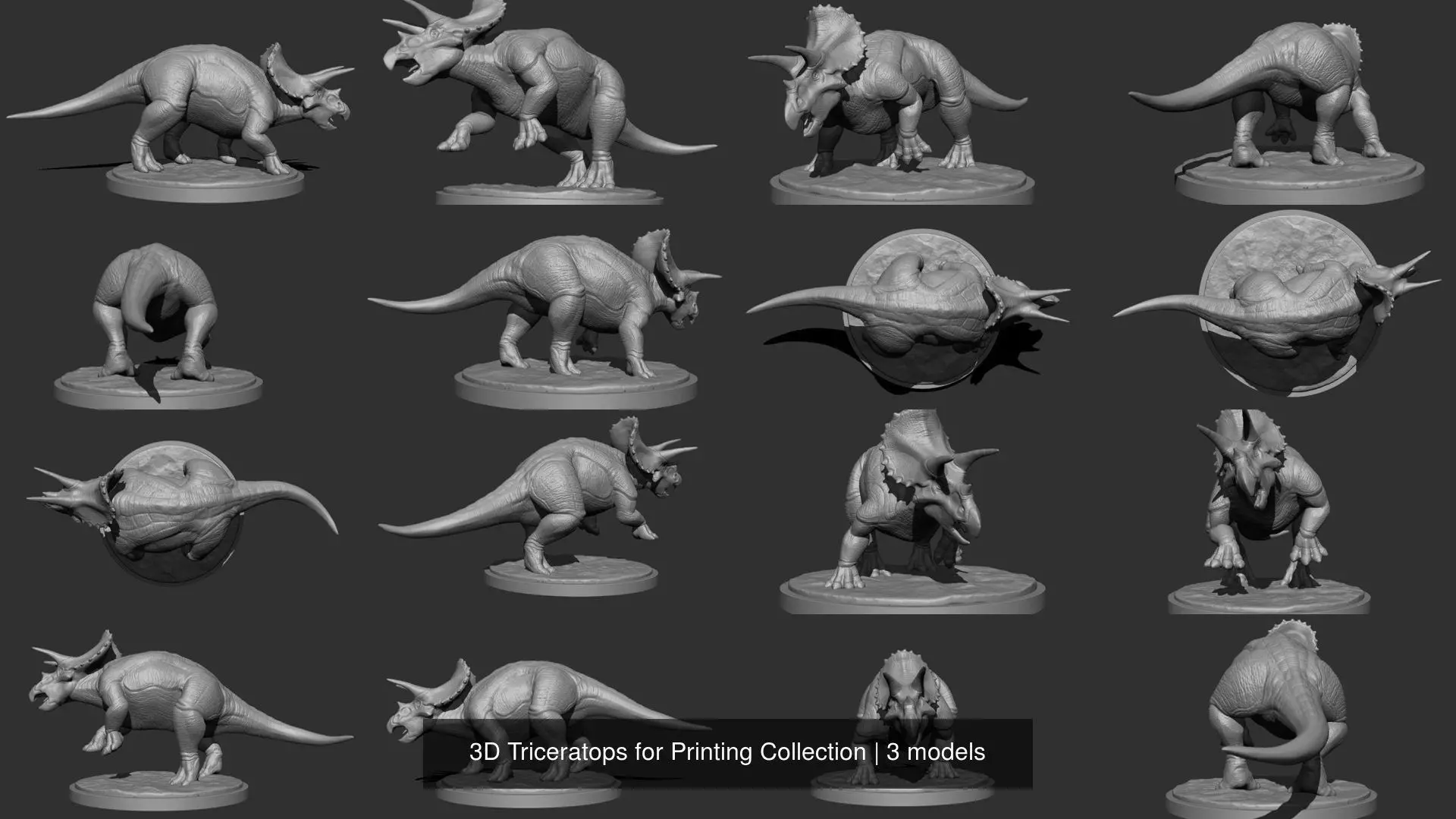 3D Triceratops for Printing Collection _0