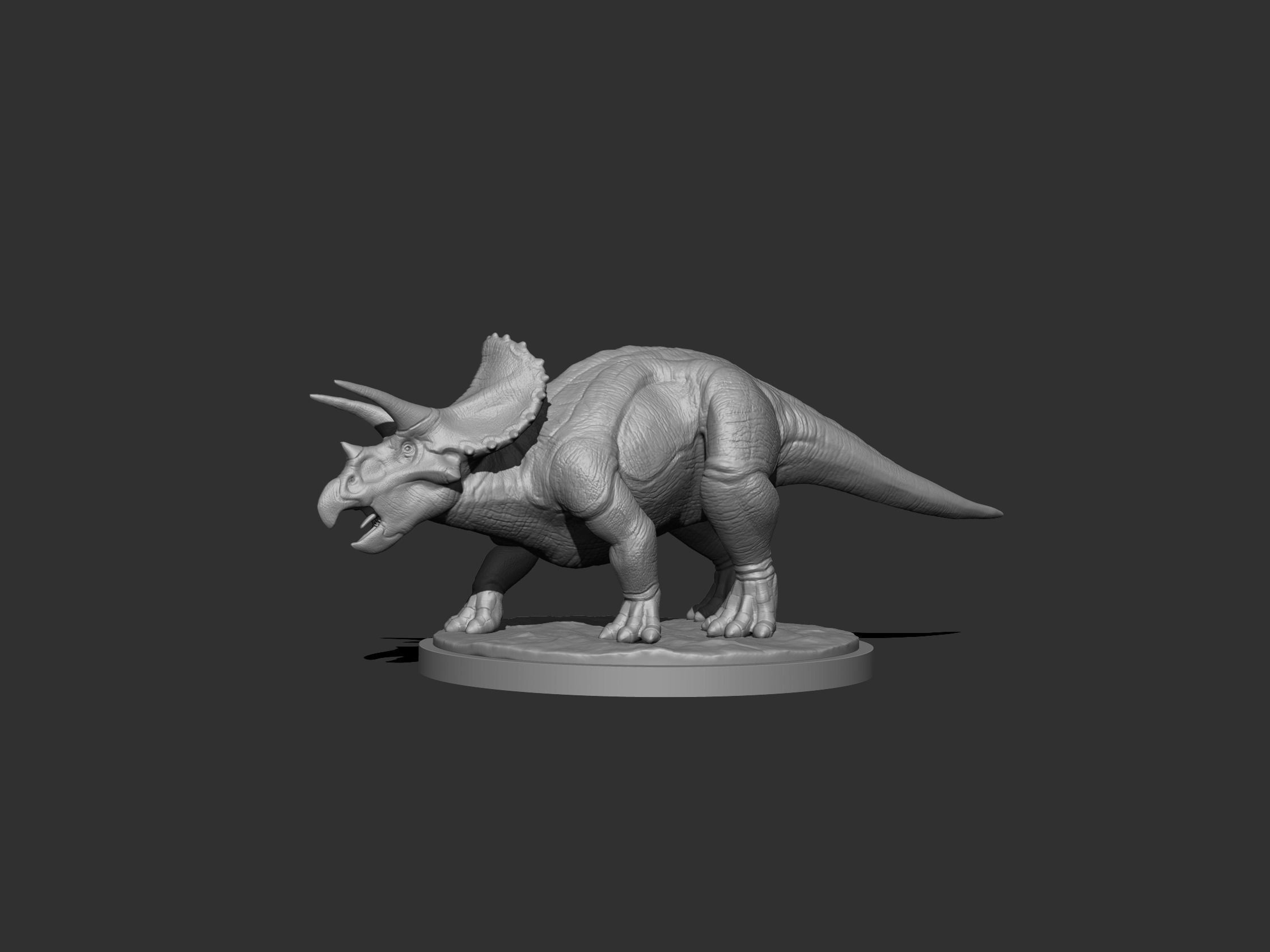3D Triceratops for Printing Collection _17