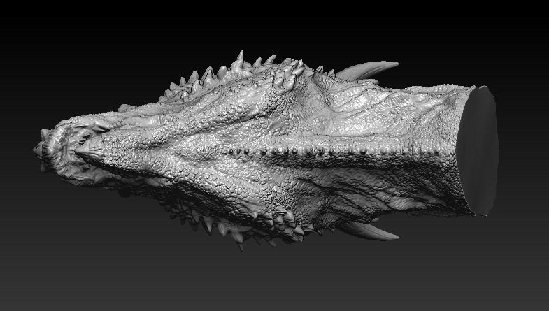 Dracorex head bust 3D model_6