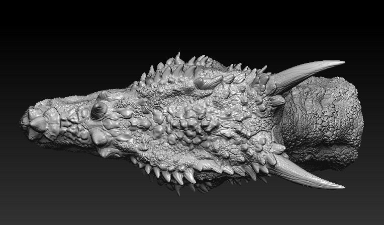 Dracorex head bust 3D model_5